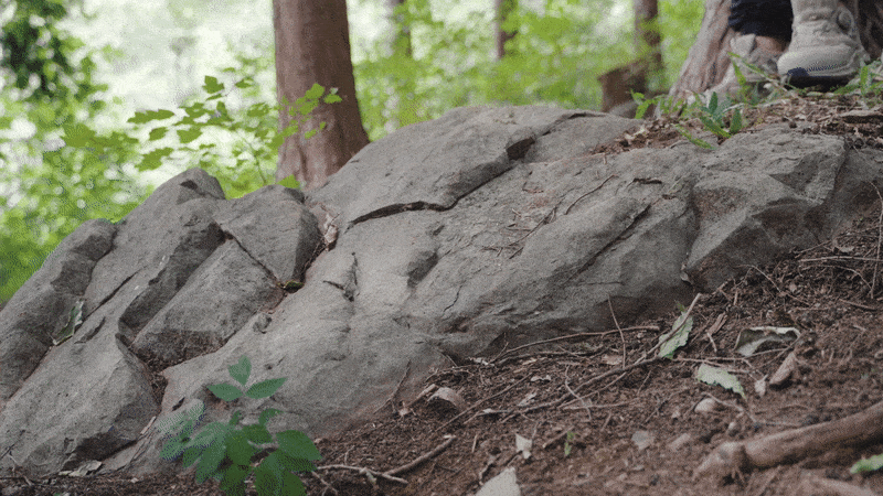 d8ed026f4ef7c5a2fc112a50e2aef931_1723774697_7749.gif